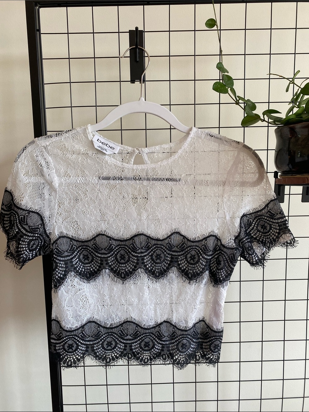 bebe Y2K White Lace Crop Top with Black Scalloped Lace Bands XS